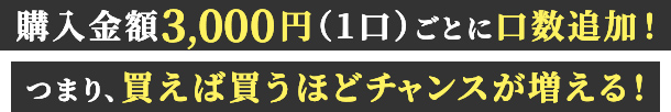 購入金額3,000円（1口）ごとに口数追加！ つまり、買えば買うほどチャンスが増える！